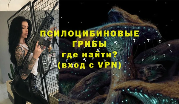 mdpv Арсеньев