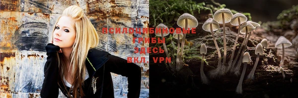 mdpv Арсеньев