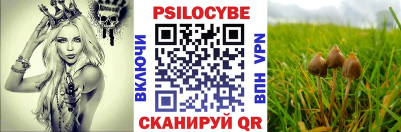 где продают   Новодвинск  Псилоцибиновые грибы GOLDEN TEACHER 